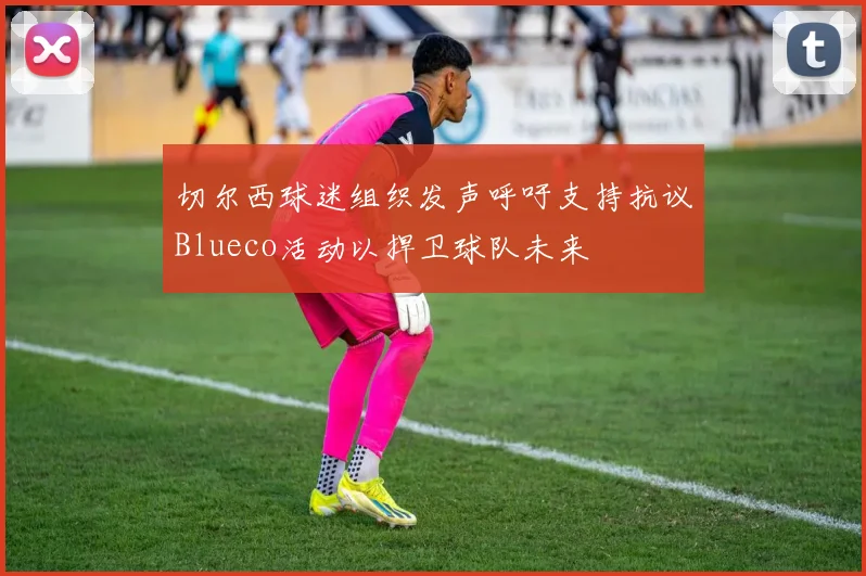 切尔西球迷组织发声呼吁支持抗议Blueco活动以捍卫球队未来
